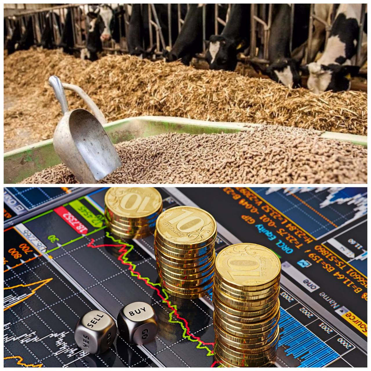 photo_2022-05-28_16-07-41