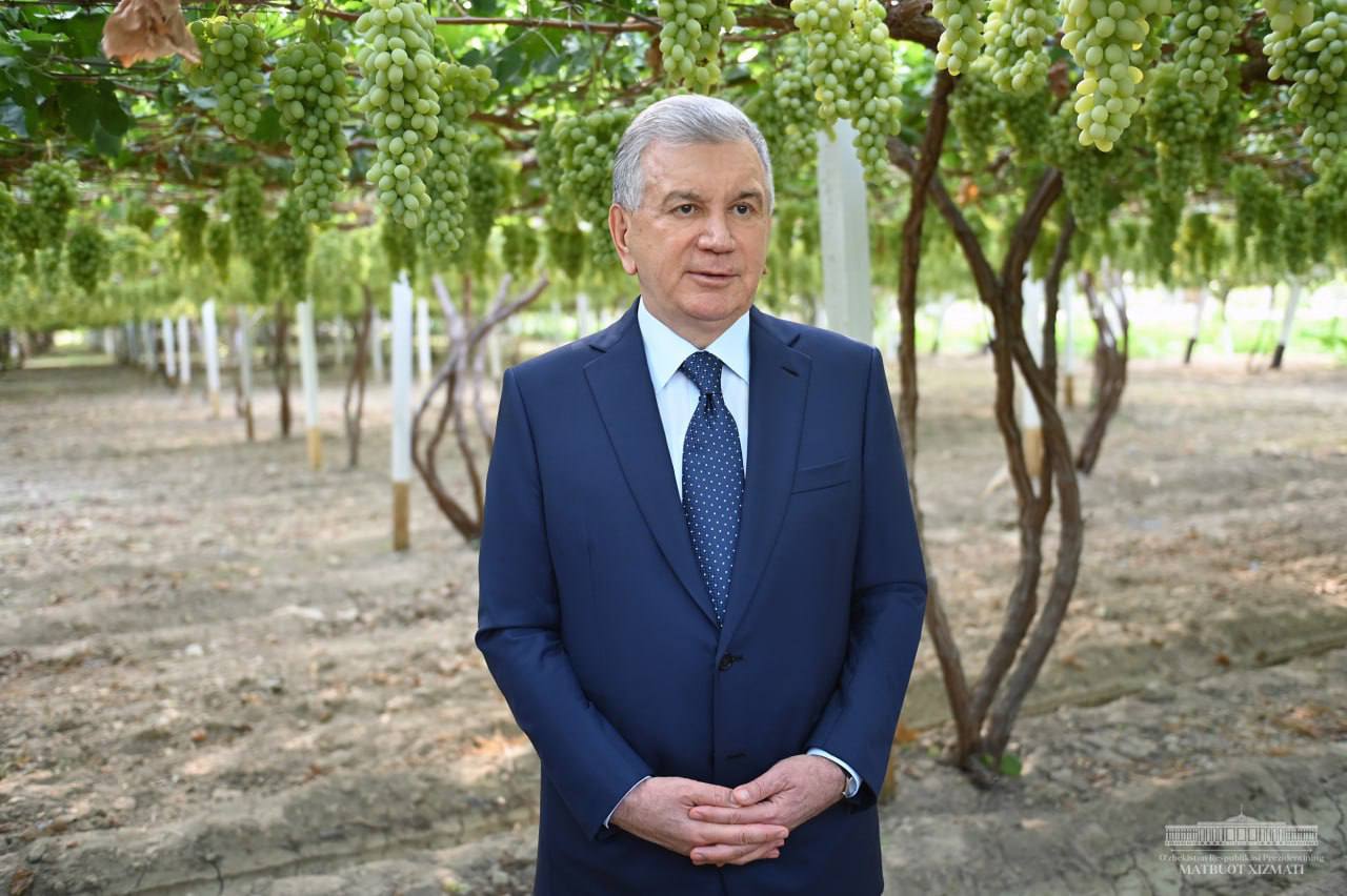 c1907022-f4f3-bbe4-2c28-01bdeb7c7d49_lists_slider_6516