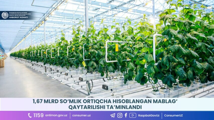 photo_2023-07-24_12-02-19