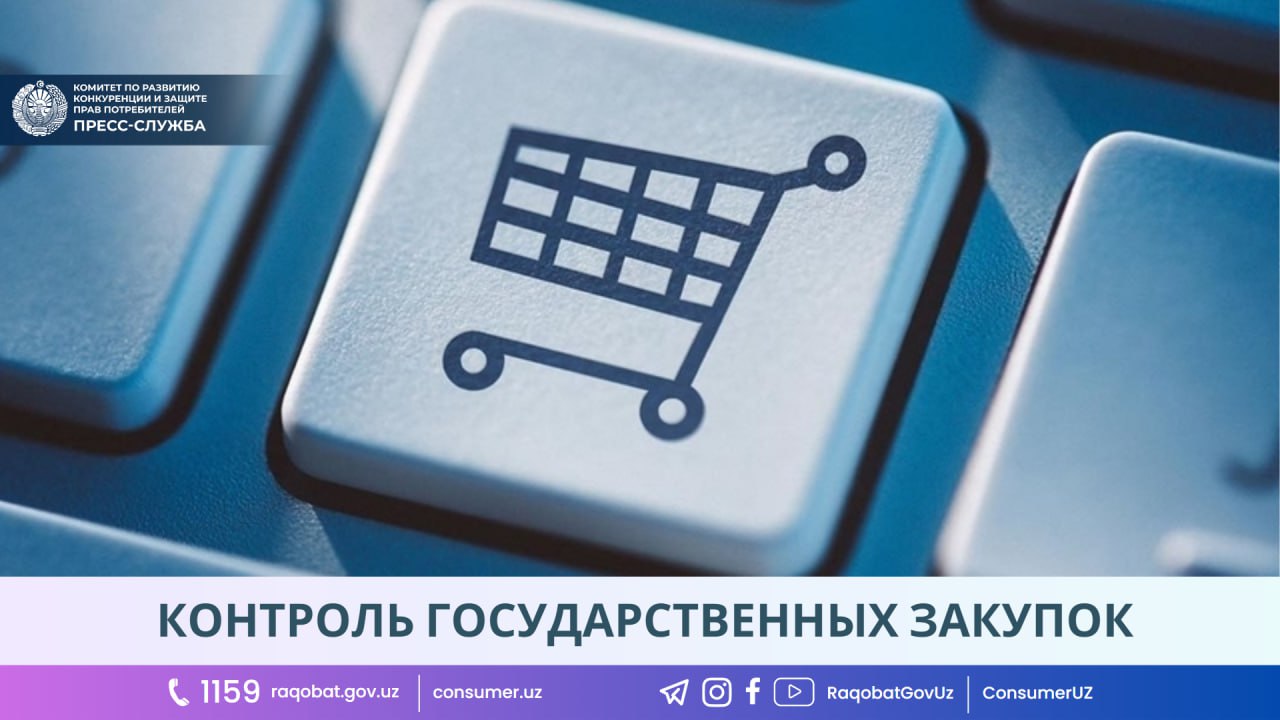 photo_2023-10-12_17-50-07