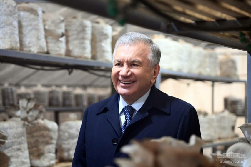 781c16f9-afbd-6fe4-3b7c-ad157d0c14a5_lists_slider_