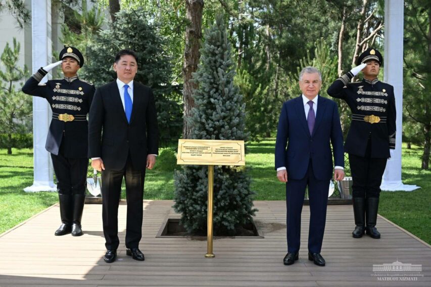 61fe6048-3d97-3a32-e5bf-4604261fb0ba_lists_slider_7340