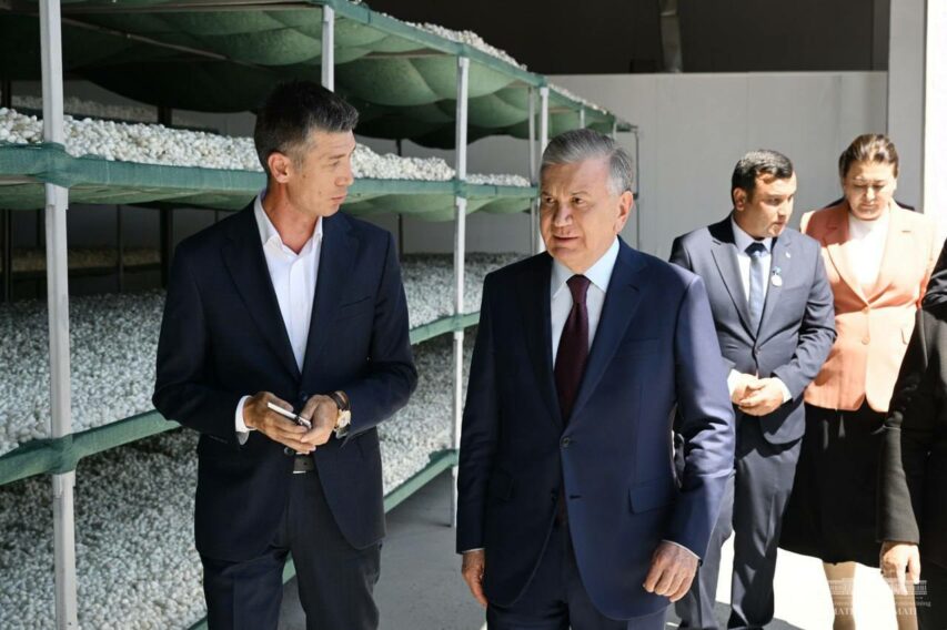 83f0e399-dc06-b154-c449-8853afb87538_lists_slider_7281