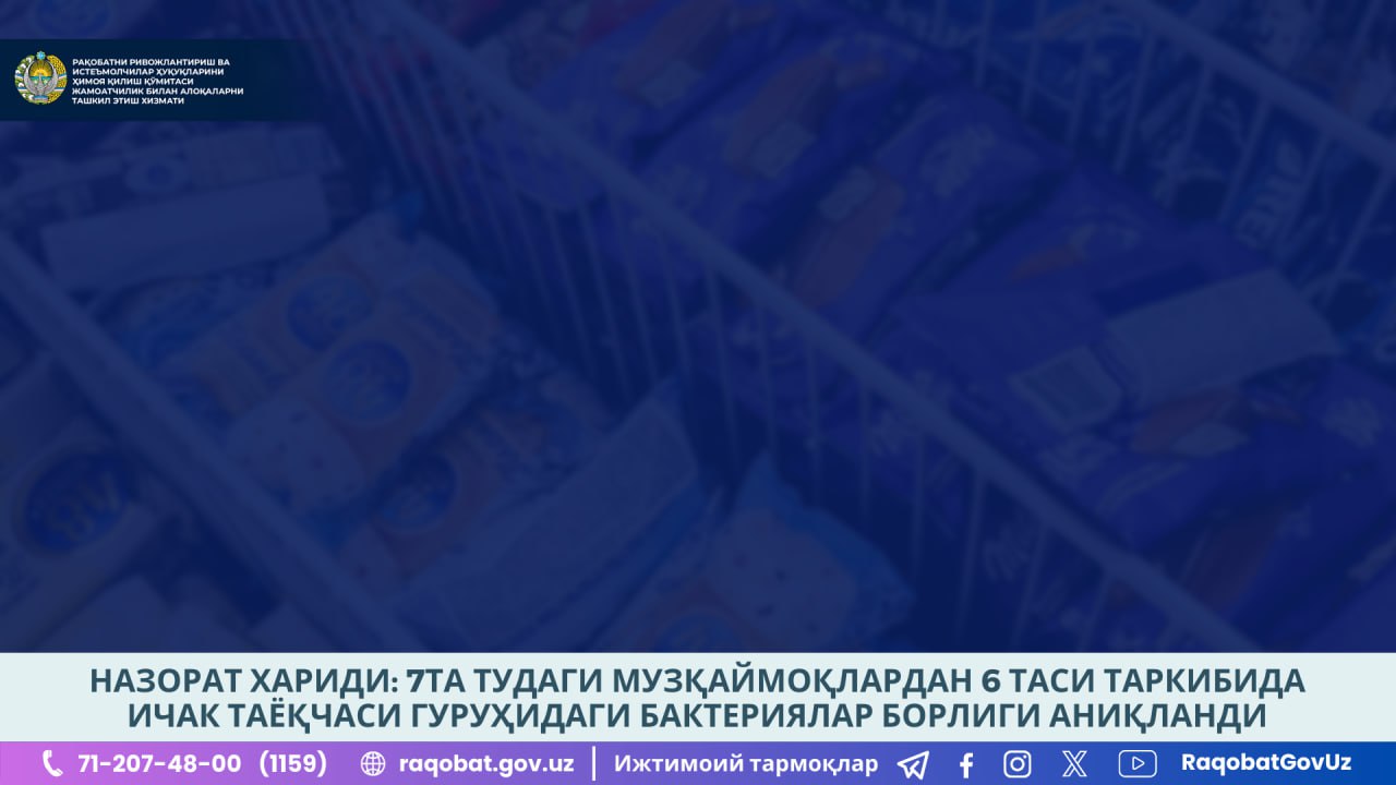 photo_2024-09-11_12-53-51