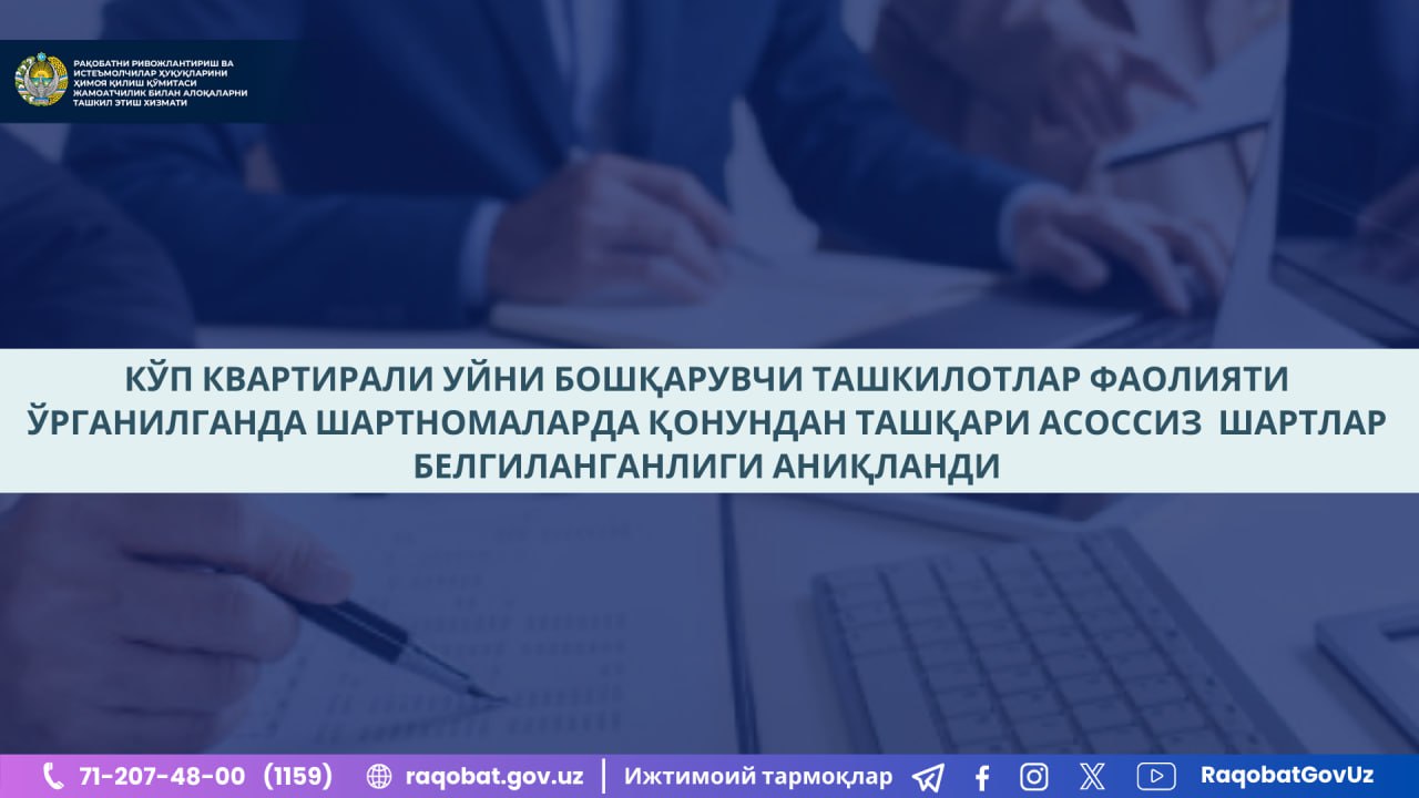 photo_2024-11-15_12-20-42