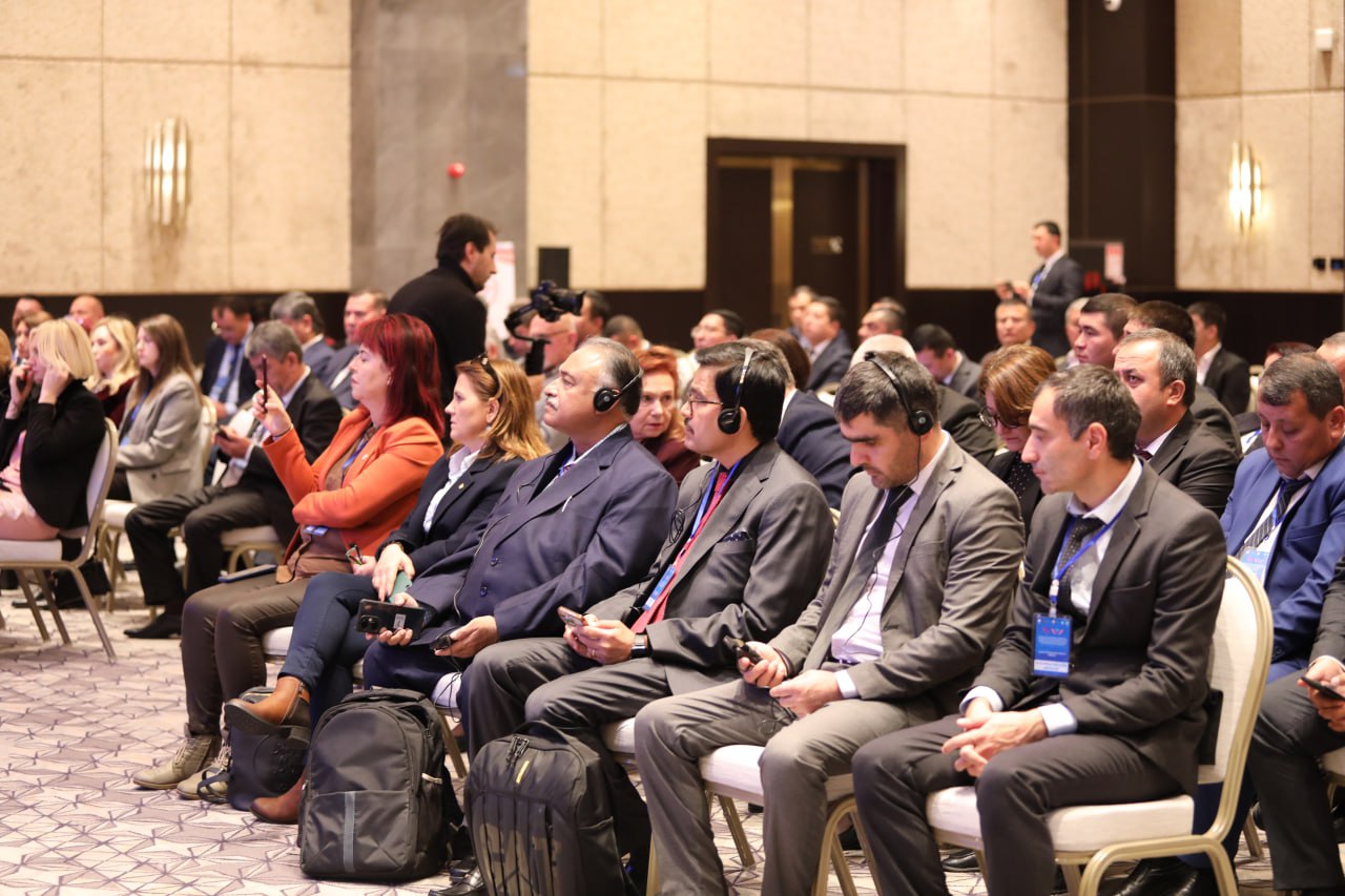 photo_2024-11-21_16-41-03