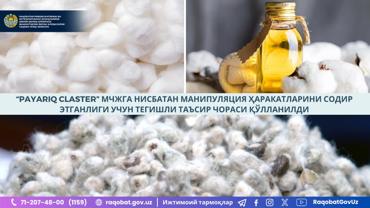 photo_2024-11-25_10-00-03