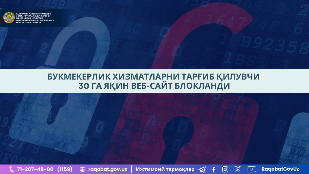 photo_2024-11-27_10-10-50